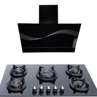 نصب و تعمیرانواع هود و گاز صفحه ای