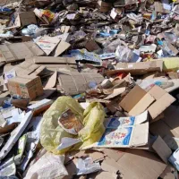 کارتن|خدمات پیشه و مهارت|ماهان, |دیوار