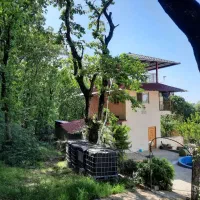 کلبه جنگلی سیکوتپه