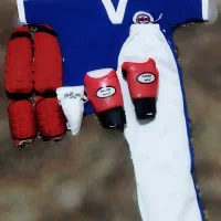 کیک بوکسینگ