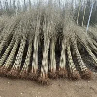 قلمه تبریزی|حراج|اقلید, |دیوار