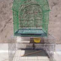 قفس پرنده