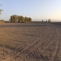 فروش یک شبانه روز آب و زمین و پسته نهبندان|فروش دفتر صنعتی، کشاورزی، تجاری|نهبندان, |دیوار