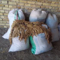 پشم خیلی خوب