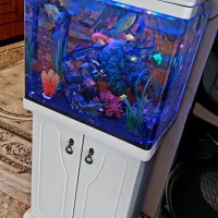 آکواریوم|ماهی|پاکدشت, پاکدشت (مامازند)|دیوار