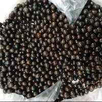 دانه یسر برای درست کردن  (تسبیح یسر )|جواهرات|رشت, معلم|دیوار