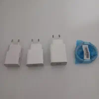 تعدادی کله شارژراصلی