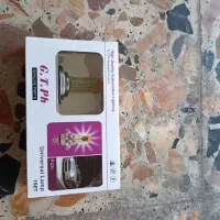 لامپ زرد عسلی