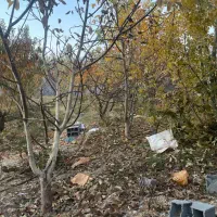 زمین ۴۰۰ متر باغ دماوند جابان سندتکبرگ آب،برق،گاز|فروش زمین و ملک کلنگی|دماوند, دماوند|دیوار