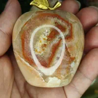 سیب سنگی