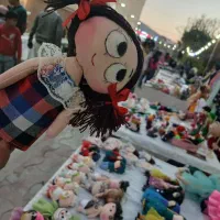 کادو زیبا|اسباب‌‌بازی|جهرم, |دیوار