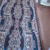 فرش ۱۲متری|فرش|اهواز, کوی طلاب|دیوار