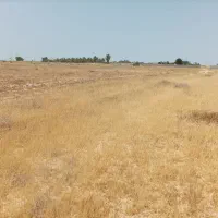 زمین-کشاورزی-در-چاه-تلخ-جنوبی