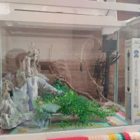 آکواریوم به همراه تمام لوازم