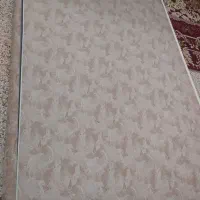 پرده زبرا تمیز و سالم