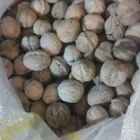 گردو خشک تویسرکان|خوردنی و آشامیدنی|کرج, شهرک بنفشه|دیوار