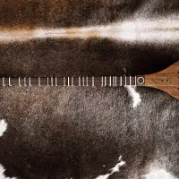 سه تار کاسه یک تکه گردو تمام حرفه ایی|سازهای سنتی|تهران, آسمان|دیوار