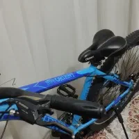 دوچرخه 29|دوچرخه، اسکیت، اسکوتر|دوگنبدان, |دیوار