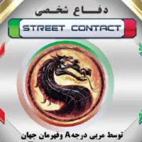 دفاع شخصی مدرن