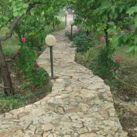 باغ ویلا