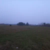 ۲هزار متر زمین بایر/گیلان/کوچصفهان