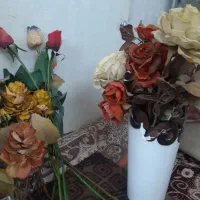 گلدان کنارش کمی شکسته و یک گلدان شیشه ی نقره ی