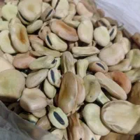 باقالی