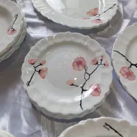 سرویس آرکوپال ۱۲نفره