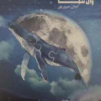 کتاب سفر کوانتومی وال تنها