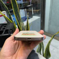 16proMax با رجستر|موبایل|تبریز, |دیوار