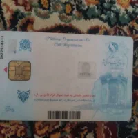 کارت ملی بنام نسرین دشتی گمشده