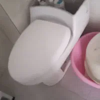 توالت فرنگی