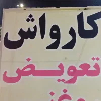 نیرو کارواش