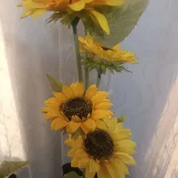 گل زیبای آفتاب گردون|گل مصنوعی|یاسوج, |دیوار