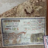 فرش ۵۰۰ شانه|فرش|رشت, کوی عرفان|دیوار