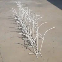 خانم عبدی - شاخ گوزنی با قیمت مناسب|خدمات پیشه و مهارت|سبزوار, کهنه آب|دیوار