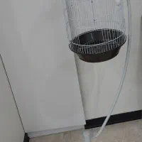 قفس پرنده ایستاده