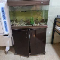 اکواریوم