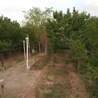 باغچه ۳۰۰ متری در سیرو
