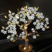 درختچه چشم نظر