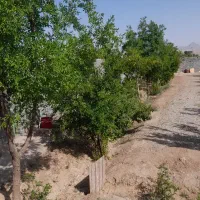 باغ ۱۲۰۰متری قابل معاوضه باشرایط|فروش زمین و ملک کلنگی|خوسف, |دیوار