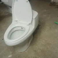 خودشور وسالم