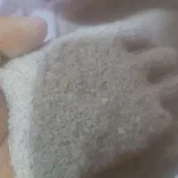 گندم اسیاب