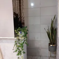 اجاره اداری ۴۵ متری در مسعودیه بلوار قائم|اجارهٔ دفتر کار، اتاق اداری، مطب|تهران, مسعودیه|دیوار