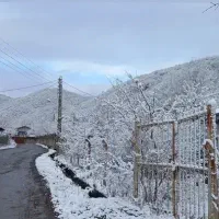 ویلااجاره ای