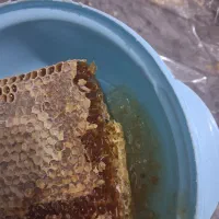 عسل صد درصد طبیعی|خوردنی و آشامیدنی|اسلام‌شهر, شهرک سعیدیه|دیوار