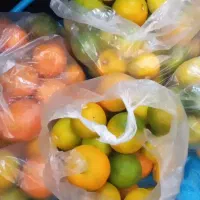 پرتقال تازه