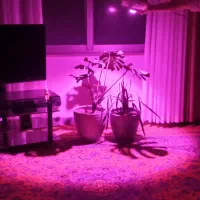 پروژکتور(لامپ)مخصوص رشدگیاه فول اسپکتروم مولتی چیپ|لامپ و چراغ|رودسر, |دیوار