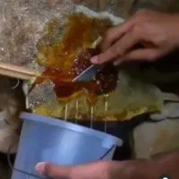 شخم زدن انواع زمین وباغ