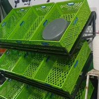 سبزی خردکنی یکجا|خردکن، آسیاب، غذاساز|شاهدشهر, |دیوار